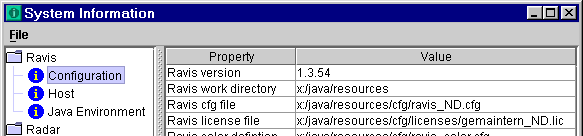 Ventana de System Information
